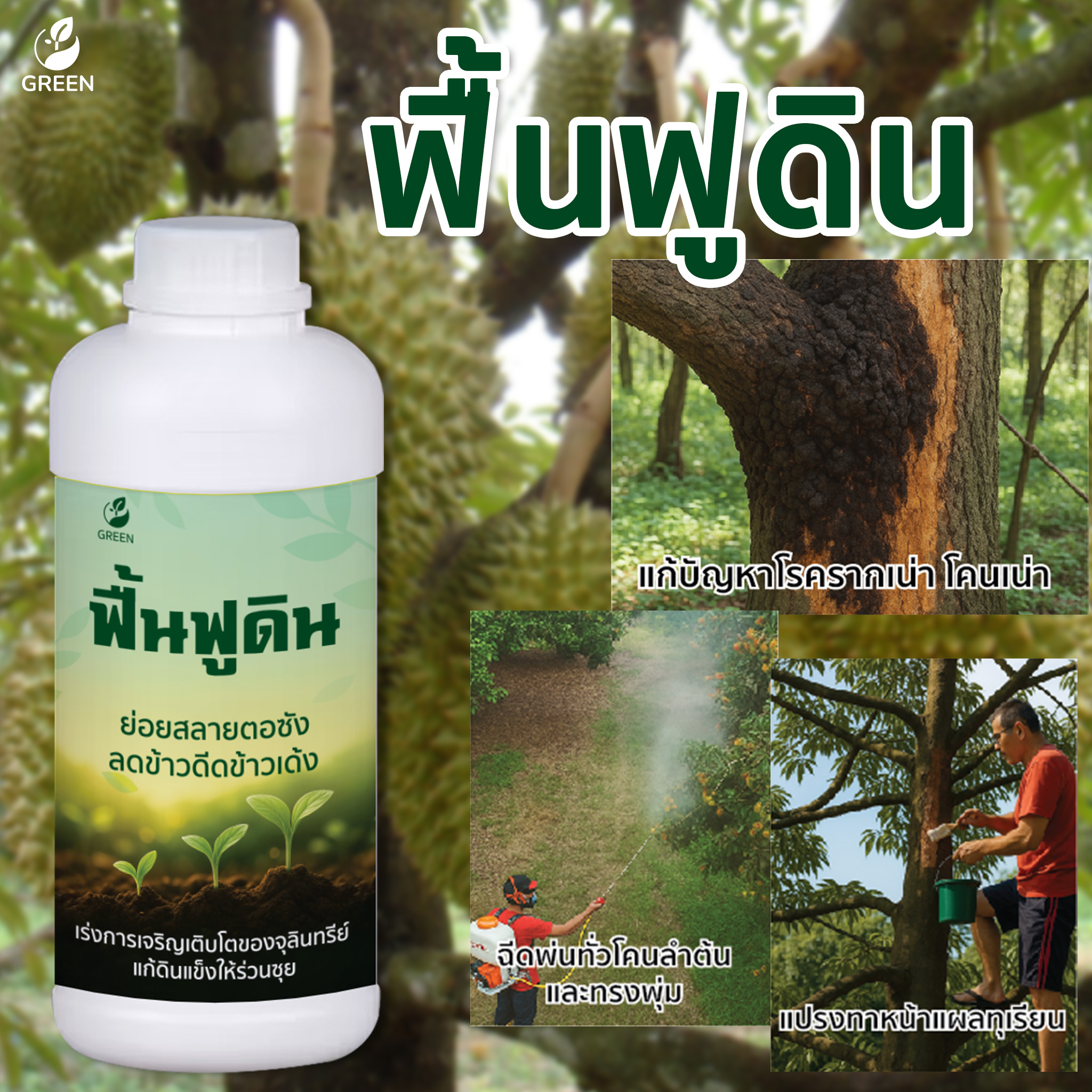 ฟื้นฟูดิน