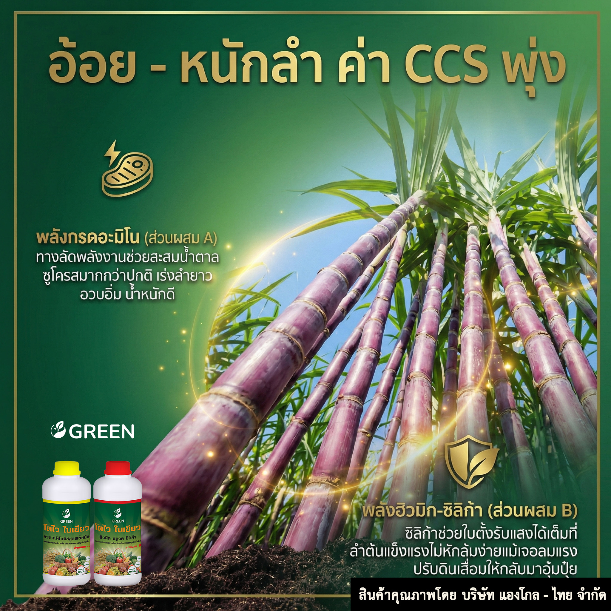 โตไว ใบเขียว ส่วนผสม A