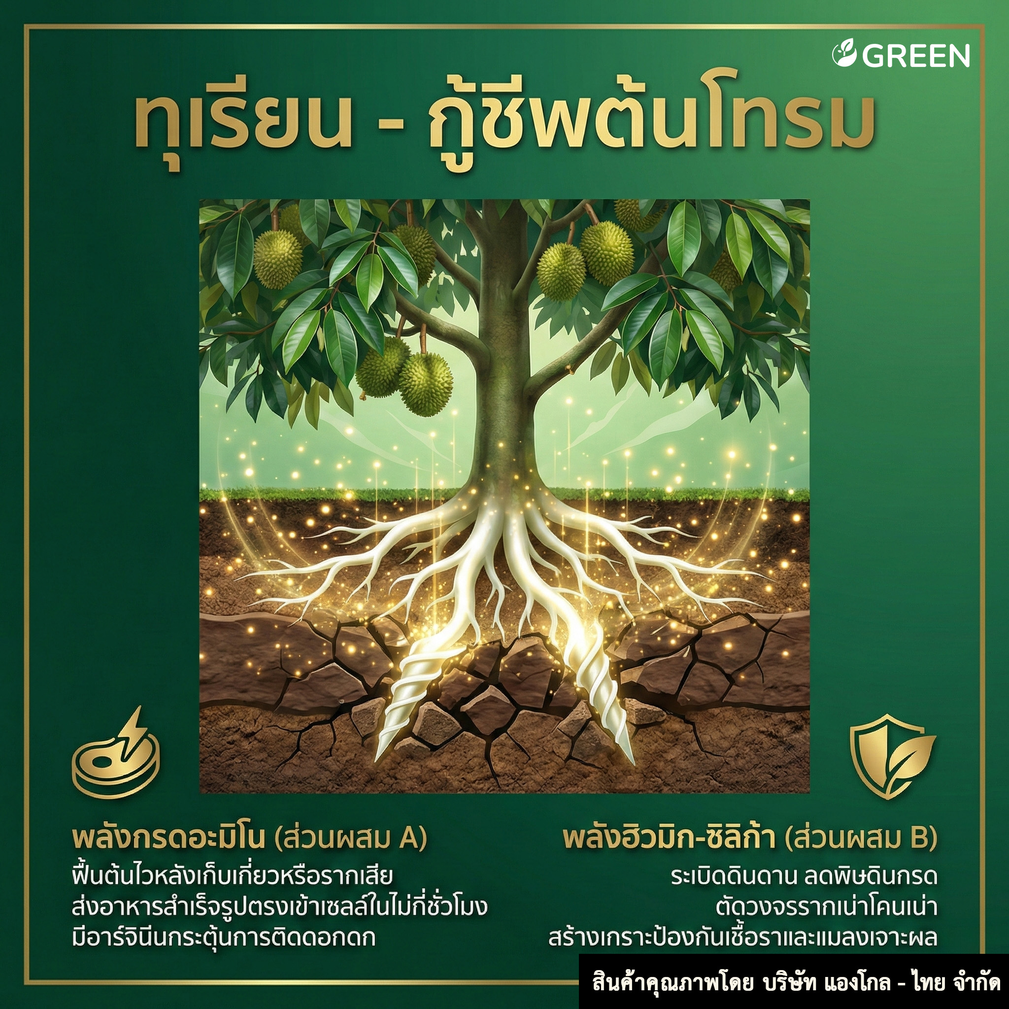 โตไว ใบเขียว ส่วนผสม A