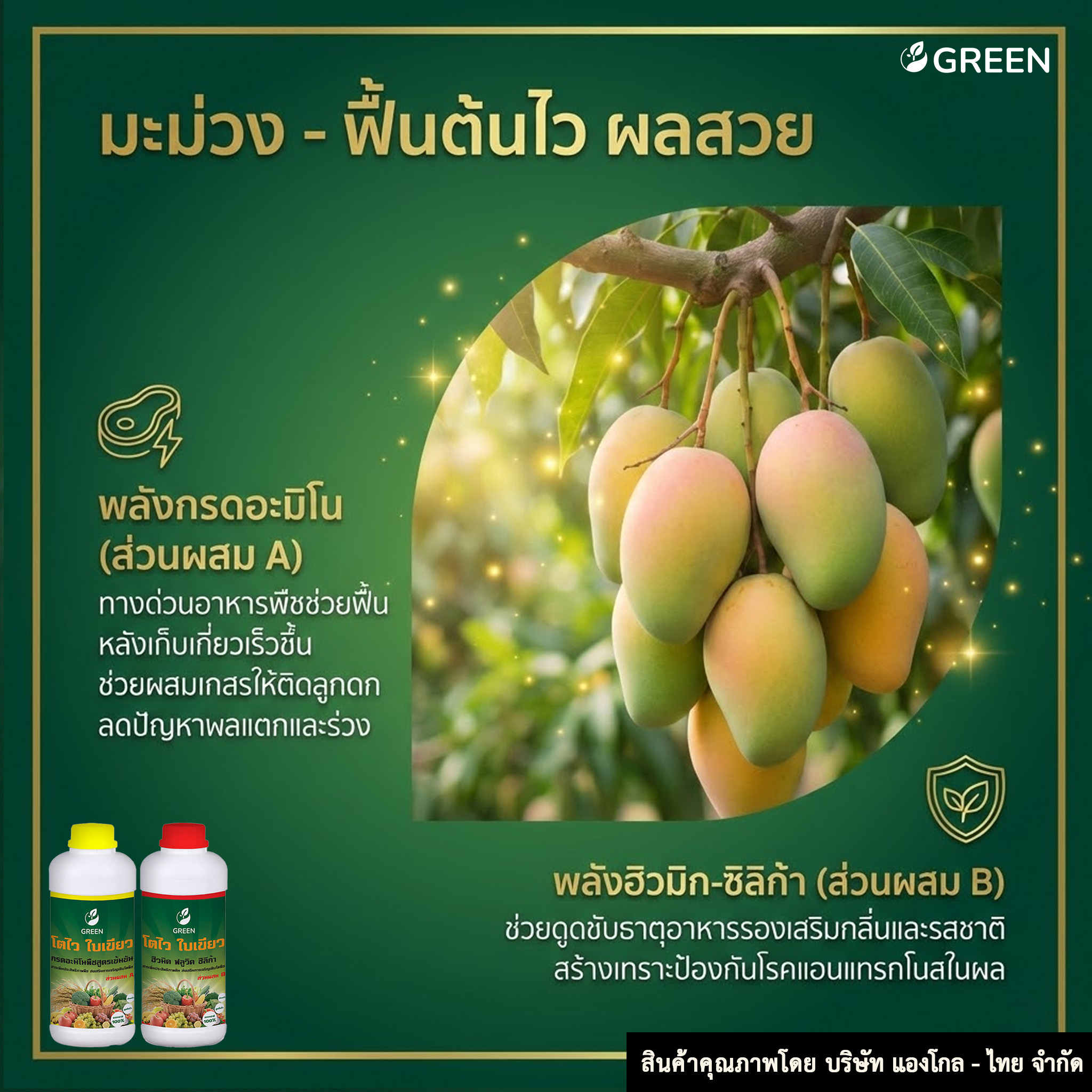 โตไว ใบเขียว 2ชุด ส่วนผสม A+B อะมิโนพืชเข้มข้น ฮิวมิค ฟลูวิค ซิลิก้า