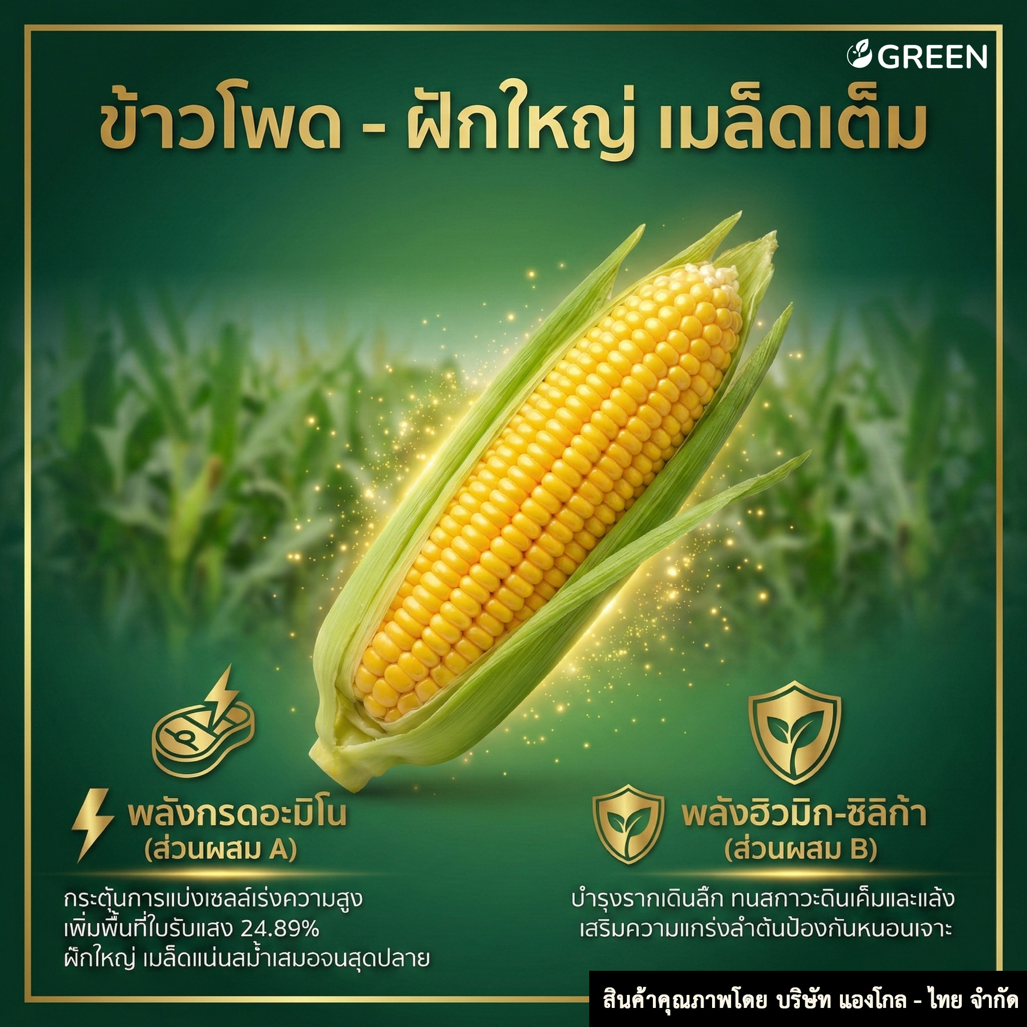 โตไว ใบเขียว 1ชุด ส่วนผสม A+B