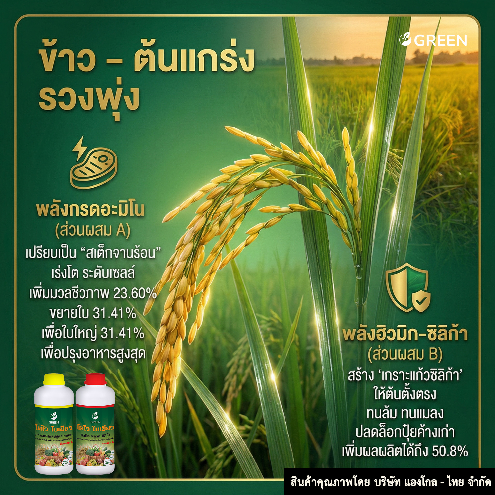 โตไว ใบเขียว ส่วนผสม B