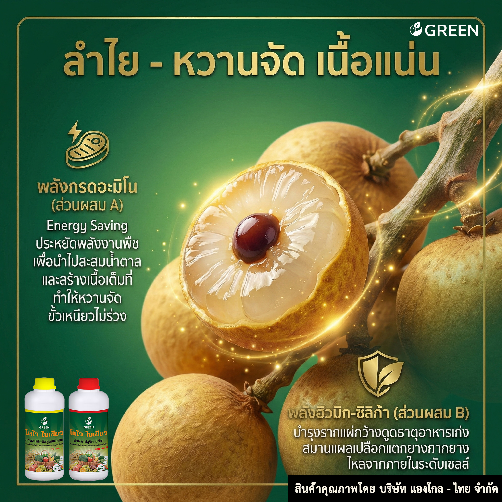 โตไว ใบเขียว ส่วนผสม B